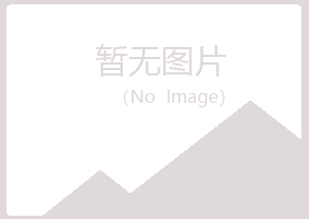 琼山区安雁能源有限公司